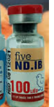 FIVE - ND.IB