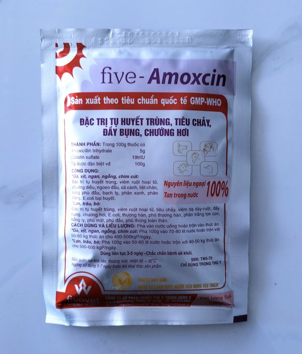 FIVE - AMOXCIN 100G