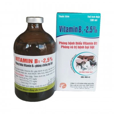 VITAMIN B1 100 ML