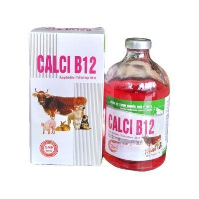 CALCI B12 100 ML