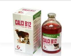 CALCI B12