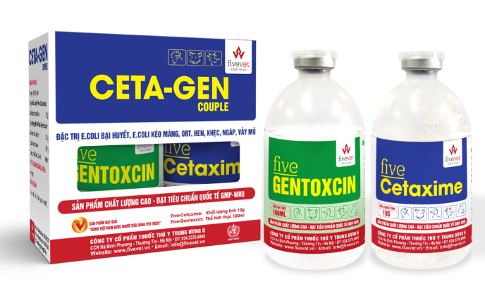 CETA - GEN 100 ML ( CẶP )