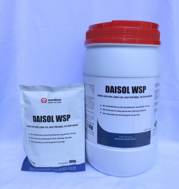 DAISOL WSP ( 100G )