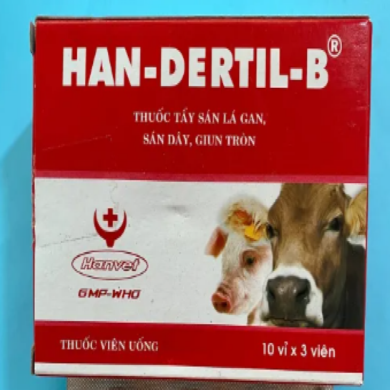 HAN-DERTIL-B 1 VỈ/ 3 VIÊN