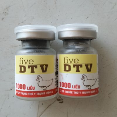 FIVE DTV 1000 LIỀU