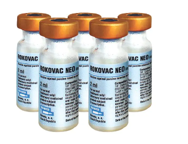 ROCOVAC ( ECOLI HEO NÁI) 1 LIỀU