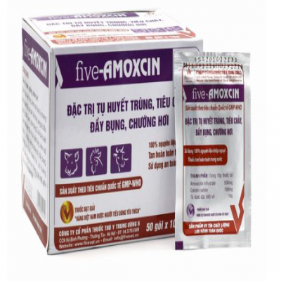 FIVE AMOXCIN 5 GÓI/ 10G