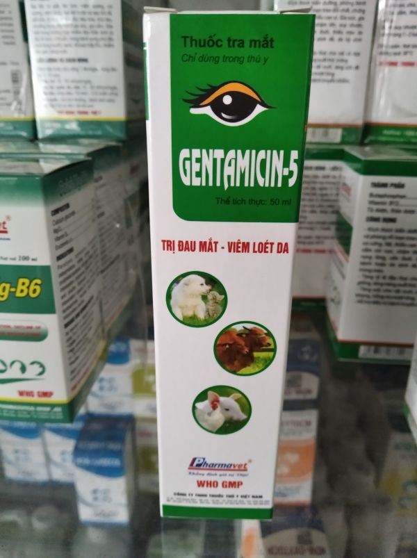 GENTAMICIN-5
