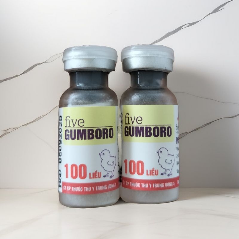 FIVE - GUMBORO 100 LIỀU