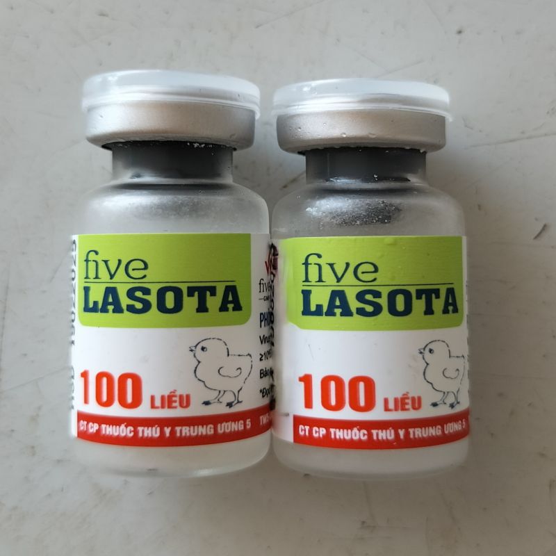 FIVE - LASOTA 100 LIỀU