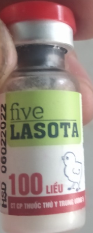 FIVE - LASOTA