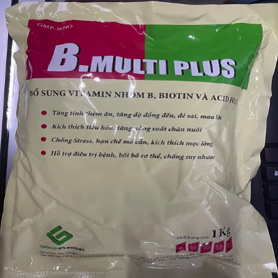 B. MULTI PLUS 1KG