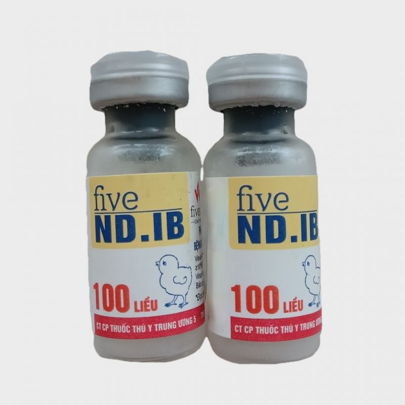 FIVE - ND.IB 100 LIỀU