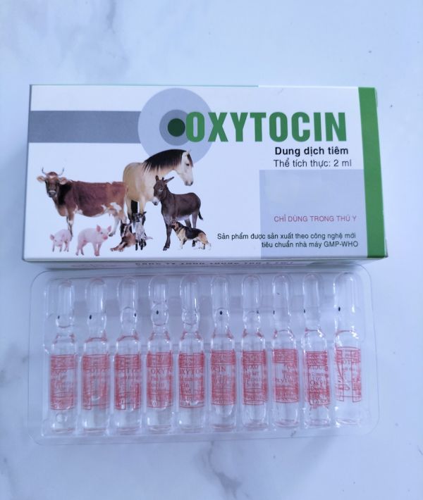 OXYTOCINE 1 HỘP/20 ỐNG/2 ML