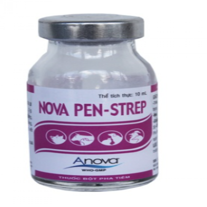 NOVA PEN STREP 1 HỘP/10 LỌ/ 10 ML