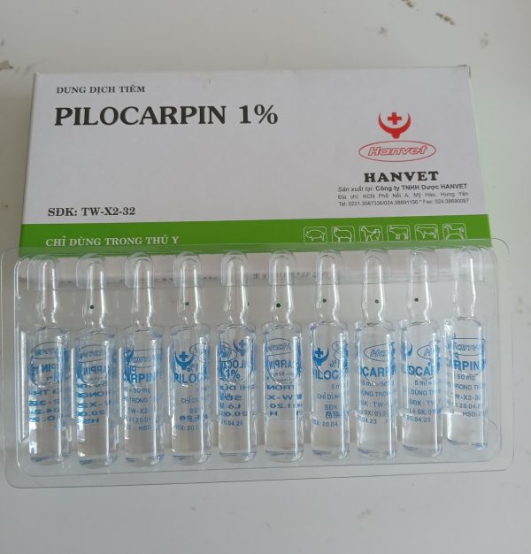 PILOCARPIN 1% 1 HỘP/10 ỐNG/ 5ML