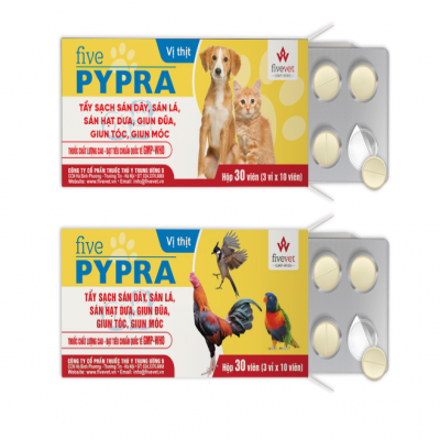 FIVE - PYPRA ( 1 hộp/30 viên)