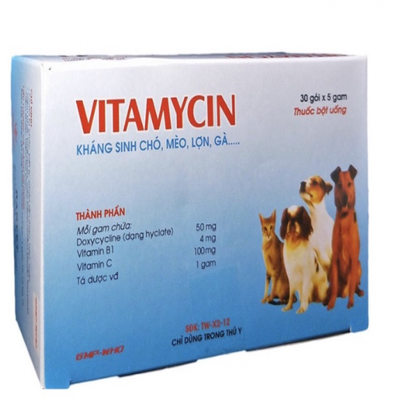 VITAMYCIN  (5 GÓI/5 GAM)